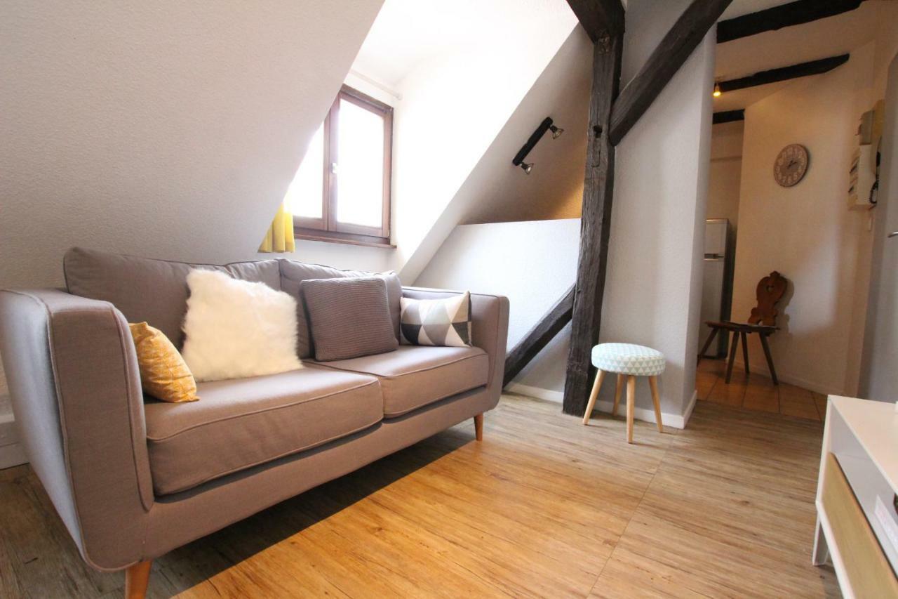 Colmar City Center - Appartement Petit Ours - Bookingalsace Экстерьер фото